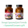 Sinergie Joint Formula + Curcumin 95% (pachet economic pentru dureri și inflamații articulare)